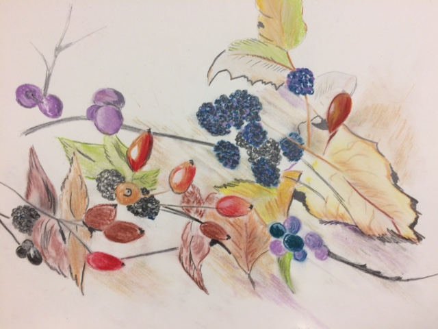 Joint 2nd place ‘Autumn Hedgerow’ October theme night (3)